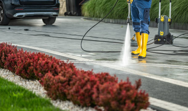 Best Roof Power Washing Services  in Newman, CA