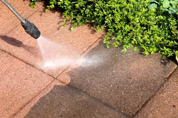 Best Power Washing Near Me  in Newman, CA